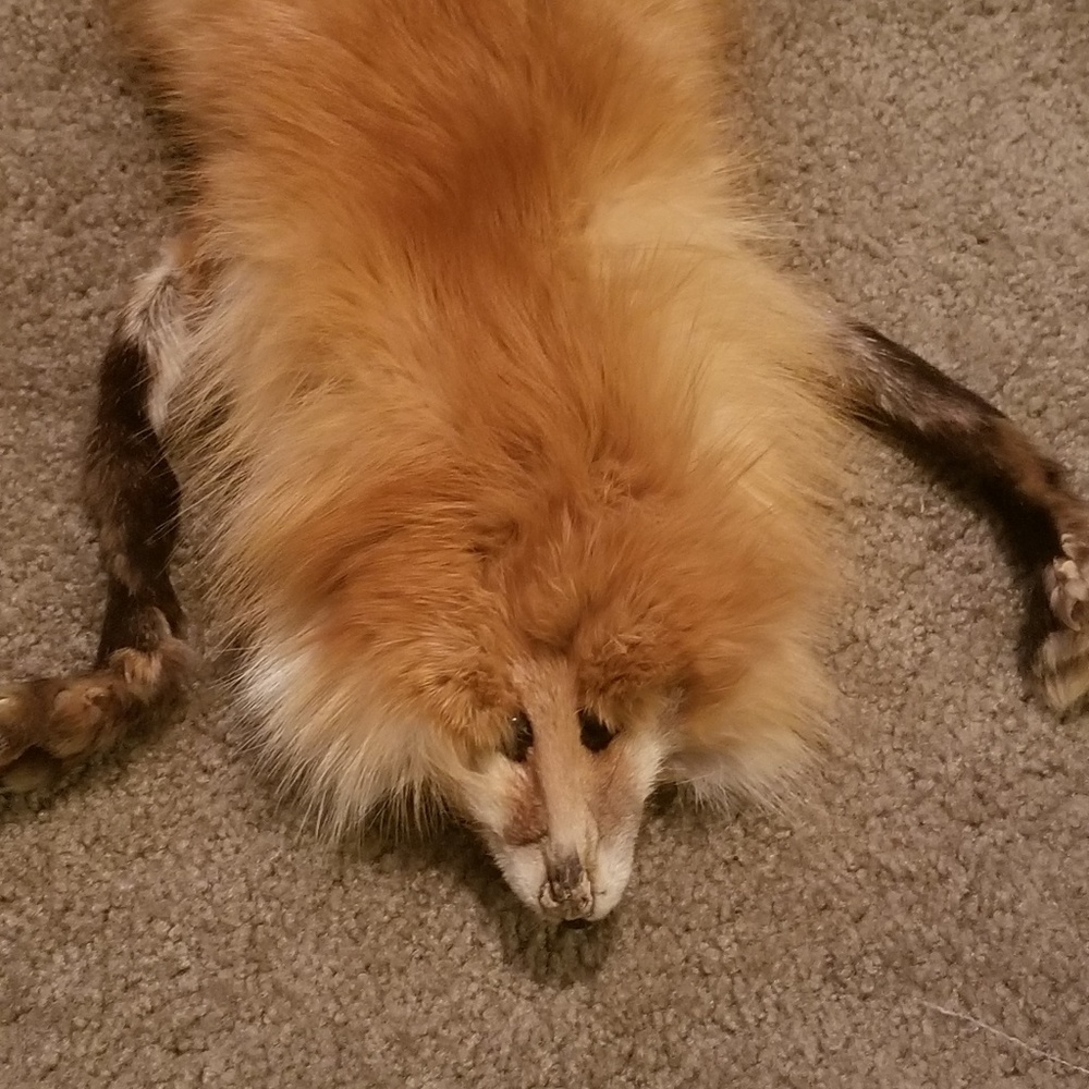 Vintage Fox scarf